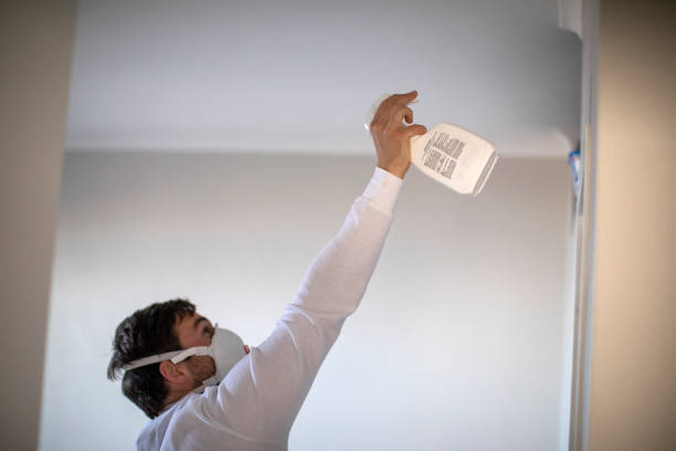 Best Post-Flood Mold Remediation in Fairview, TN